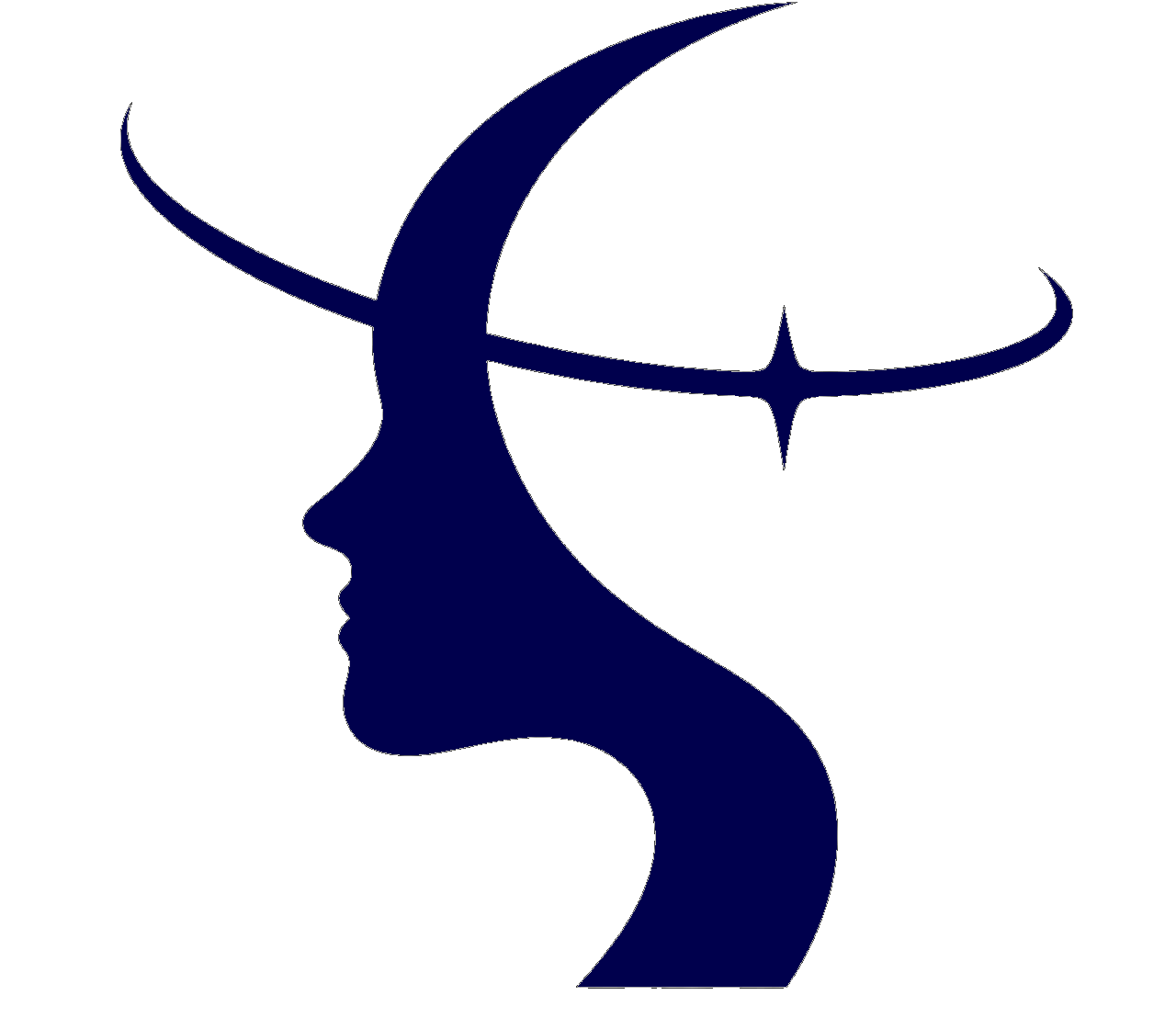 Logo Revim